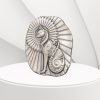 "Ultra-high relief 5oz silver bar featuring an ornate Egyptian cat design with an antiqued finish and fan-shaped background, crafted by Argentia."