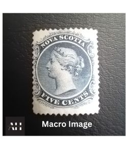 Alternative view of Nova Scotia 5 Cents Blue Stamp, 1860, Unmounted Mint, SG 12