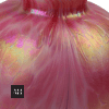 Angled view of Loetz style glass shade displaying colour shift from pink to gold and green iridescence
